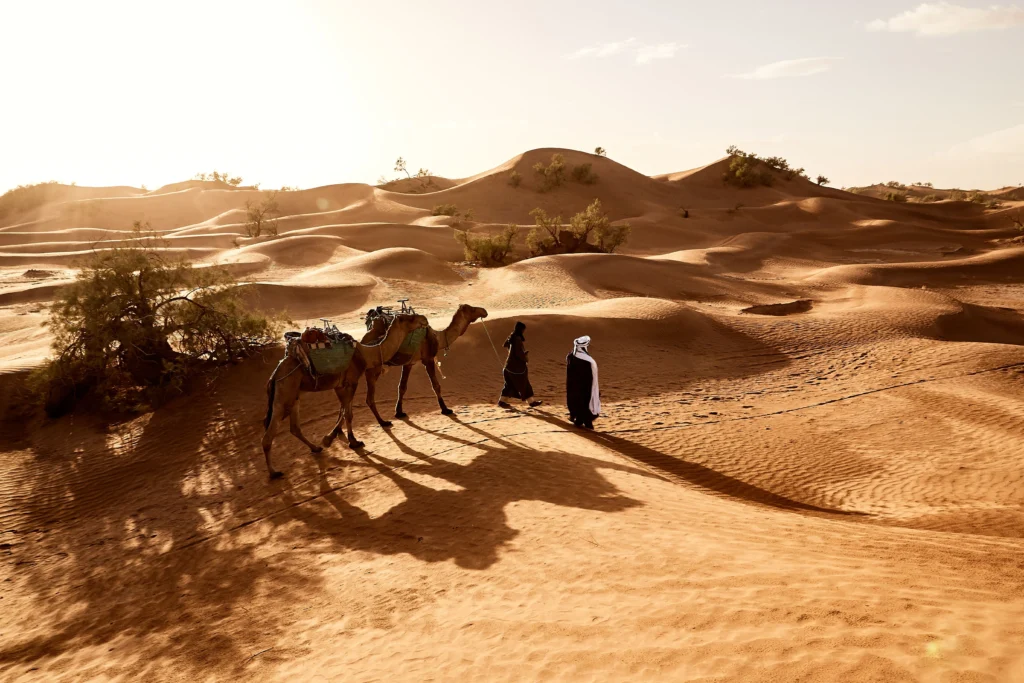 شروط تجنيس البدون في السعودية