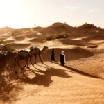شروط تجنيس البدون في السعودية