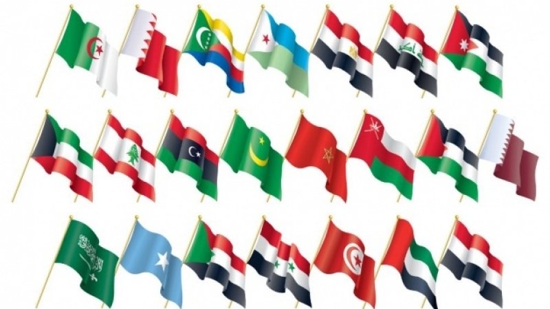 التجنيس في الدول العربية
