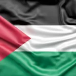 حقوق اللاجئين الفلسطينيين في التجنيس