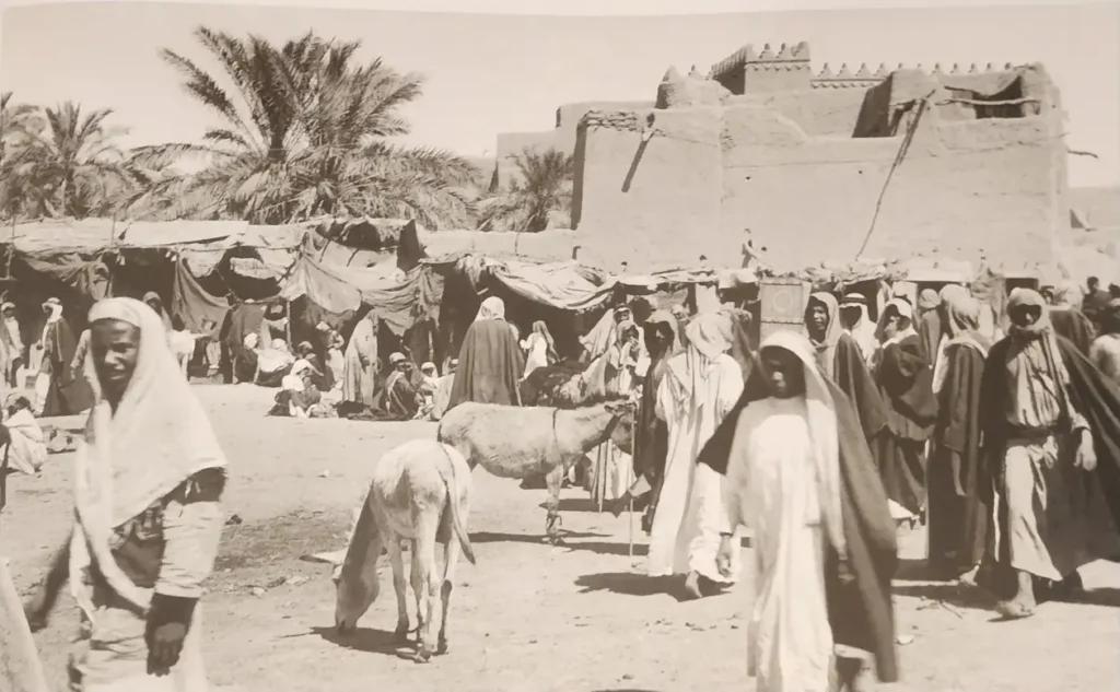 تجنيس قبيلة همام في السعودية