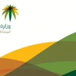 طريقة نقل كفالة زوج مواطنة