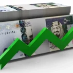 التجنيس مقابل الاستثمار